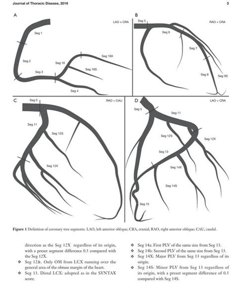 右冠状动脉 (rca)划分为6种类型(figure2a-2f):后降支