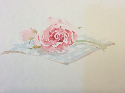 手绘水彩插画 by--插画师南方 送人玫瑰 手有余香
