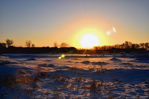 标题:初冬的早晨【一】
