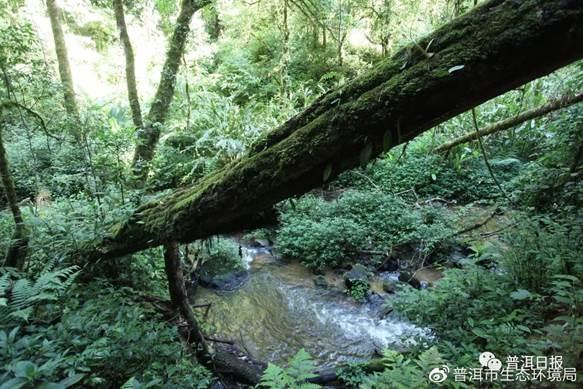 山&水,普洱这对cp也太好看了!