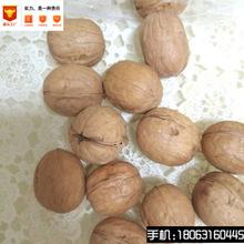 b1271公司直营特产阿克苏薄皮核桃 纸箱装原味生坚果批发孕妇干果