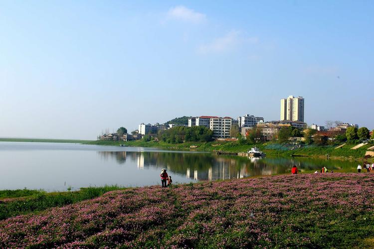 2020年3月31日湖北省石首市摄影家协会,摄影爱好者于笔架湾,留下长焦