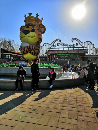 滨城区第八中学2017级一,二班济南野生动物园研学游行