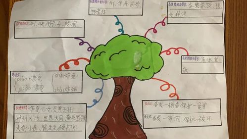 二年级前三单元知识复习思维导图