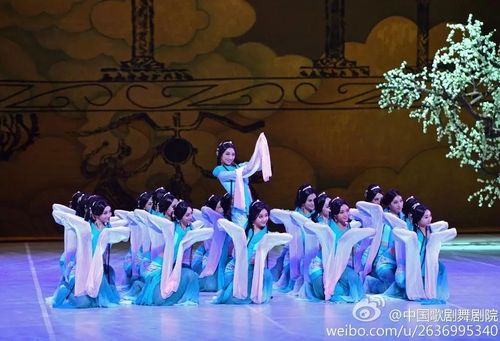 《采薇舞》柔若无骨,似清风徐来_舞蹈艺术资源_零二七艺考