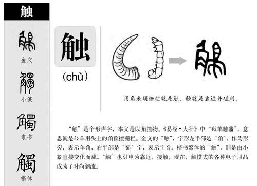 触的组词