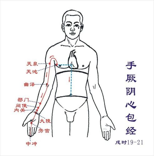 古法经络调理穴位图