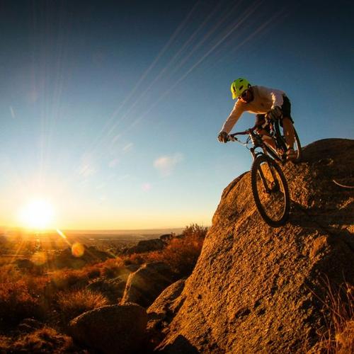 山地自行车运动