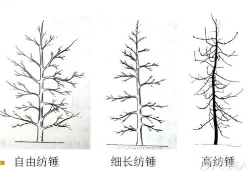 纺锤形体型简笔画