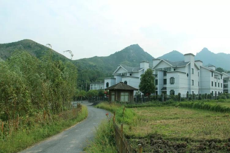 (王四清摄于宜秀区罗岭镇凤溪社区,杨桥镇溪安村)