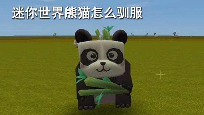 迷你世界熊猫怎么驯服