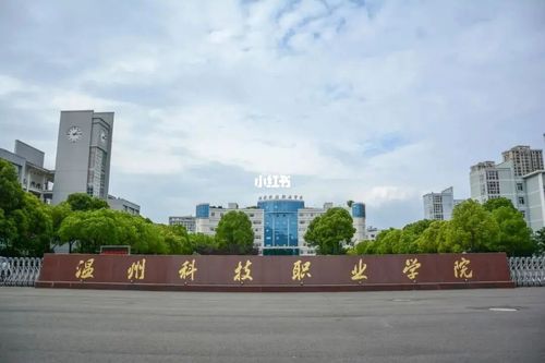 欢迎来温科院新生咨询～_温州科技职业学院_高考_饮水