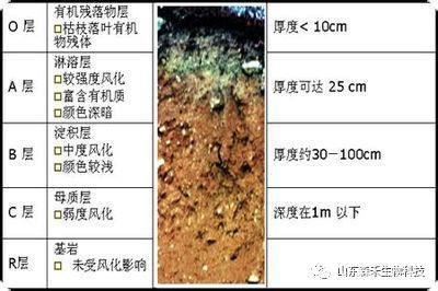 科普土壤分层先了解看看问题有哪些