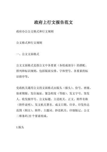 政府上行文报告范文doc18页
