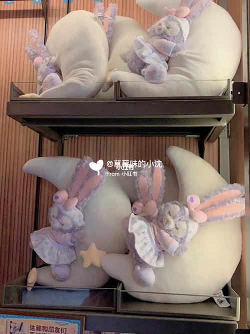 终于见到月亮星黛露抱枕啦_抱枕_迪士尼乐园_迪士尼怎么样_女明星