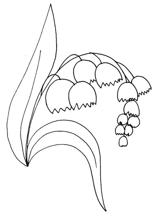 钟花风铃草植物花简笔画步骤图片大全