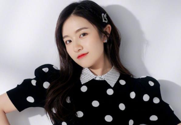 李兰迪为什么不火,李兰迪多大年龄