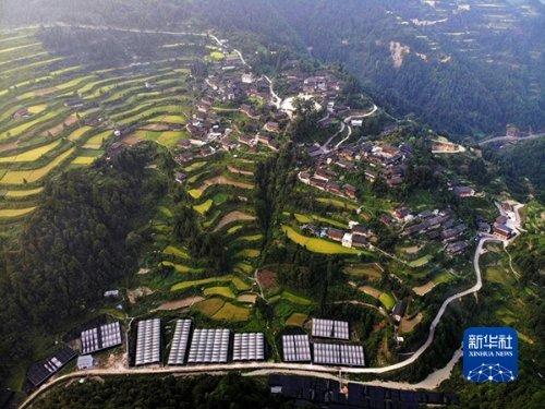 贵州全面启动实施乡村振兴五大行动