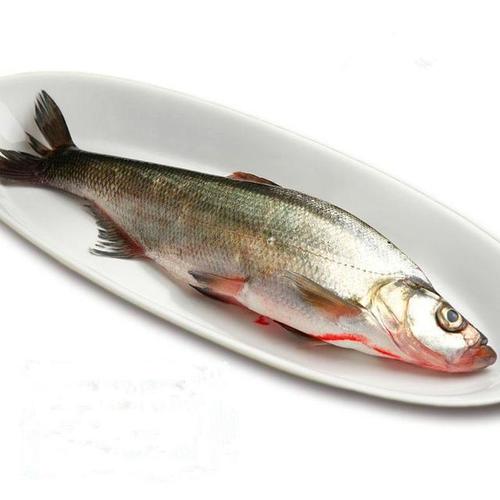 吉林印记 松花湖上"三花一岛"鱼飘香