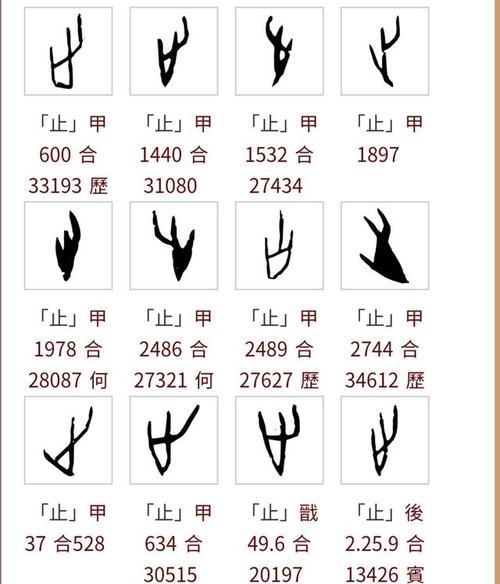 止的甲骨文写法