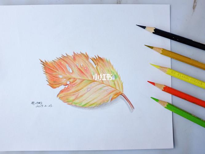 彩铅_南京成人画室_影视娱乐_绘画