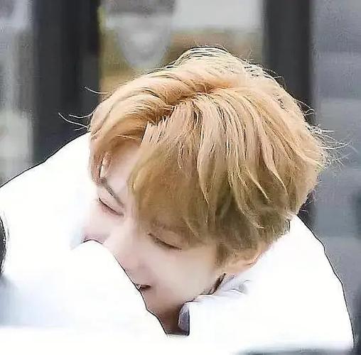 回应: 罗一舟图片收集贴