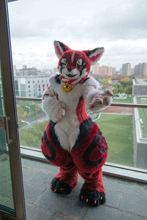 cn/aifucxbo 是之前去@极兽聚 在酒店阳台@司马大忽悠 给照的照片,下