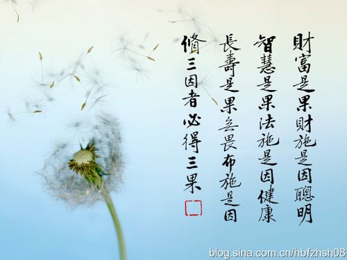 布施得财富什么是布施如何布施各种布施功德利益较量