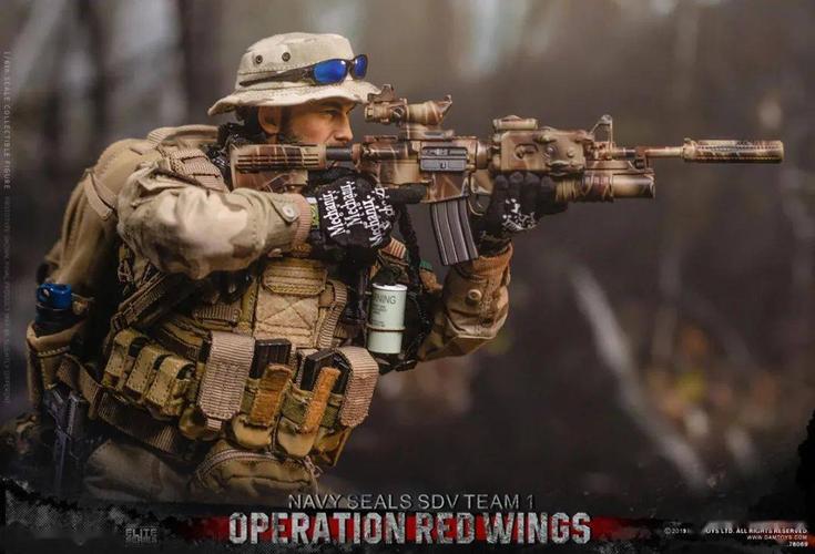 精选好图:美军海豹突击队之三