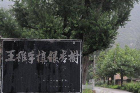 20090803陕西历史人文之旅--王维的蓝田辋川别墅