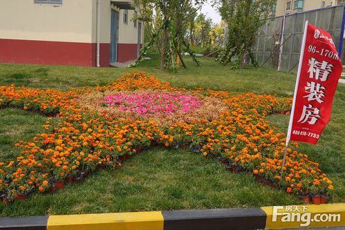 小区时花造型实景图(2015-07)