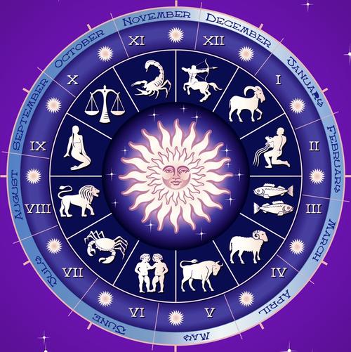 十二星座守护花