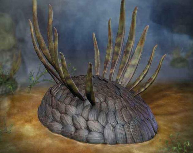 寒武纪生命大爆发出现的主要生物是.