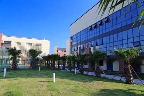 杭州湾畔的明珠……余姚市小曹娥镇中心小学