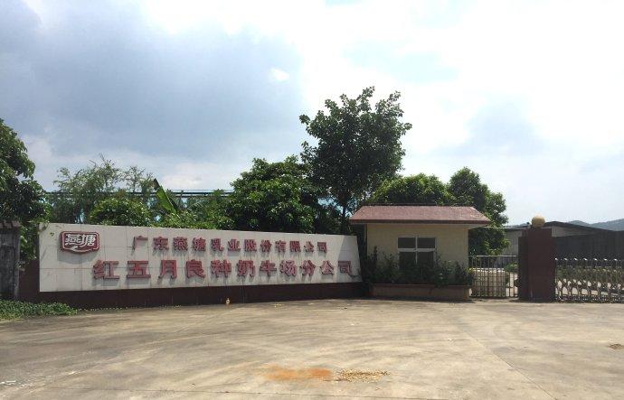 红五月农场现在被定为阳江城市人口疏散基地
