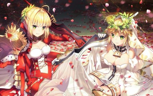 [fgo]尼禄单挑人王(翻车)