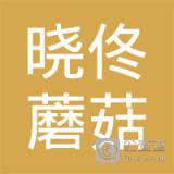 佟晓明