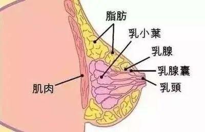 网易首页>网易号>正文申请入驻> 但其实这些丰胸方法都是错误的!