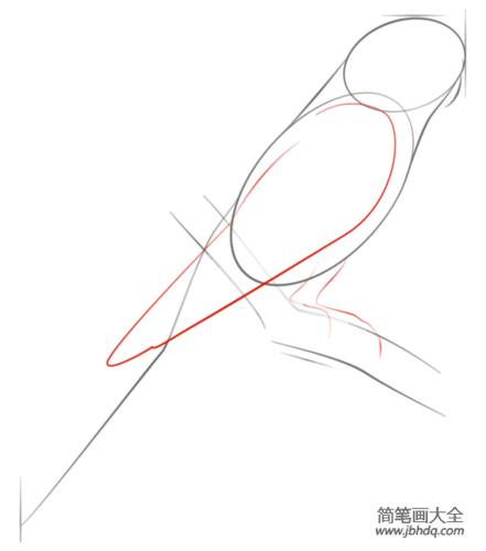 如何画虎皮鹦鹉