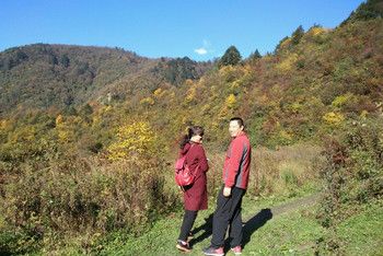 早上8点半从郫出发,一小时多点到达耿达,直接去黄草坪,山上有棵棵树叶