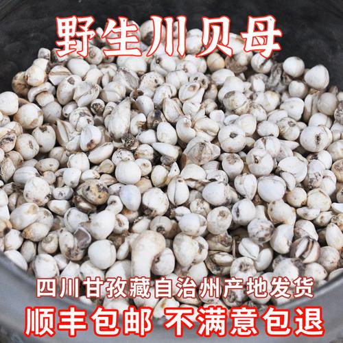 正宗川贝母野生20克四川甘孜州藏族理塘特产中药材松贝顺丰包邮