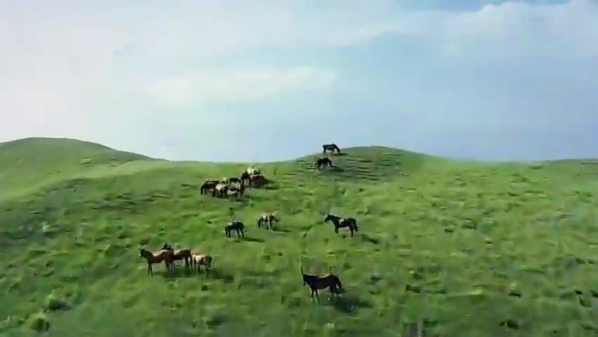 云飞一首离别草原好听醉了浓浓的草原情如天籁之音唯美动听