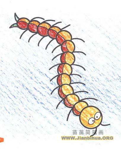 蜈蚣简笔画图片教程