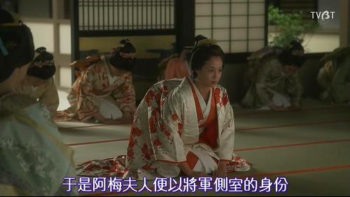 看了这么多大奥,随便写一点儿