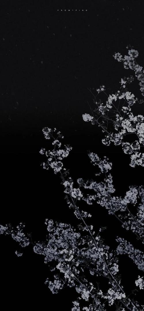 沉稳大气的壁纸