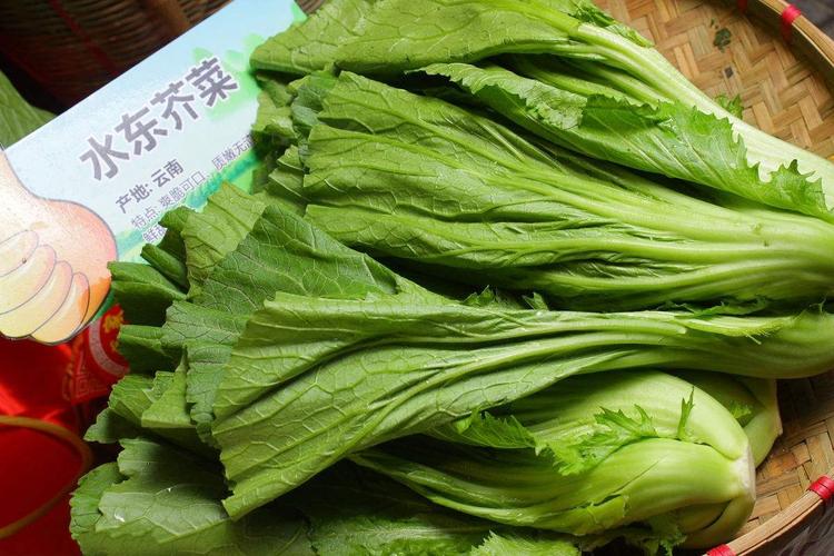 水东芥菜