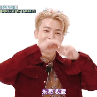 super junior//李东海