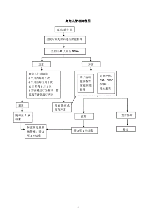 高危儿管理流程图.pdf 1页
