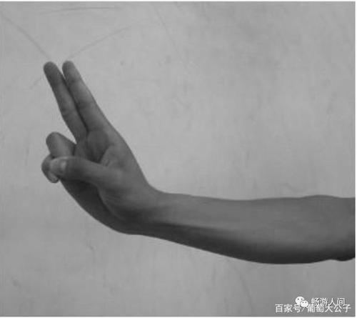 剑指 剑指,也叫剑诀,其姿势为