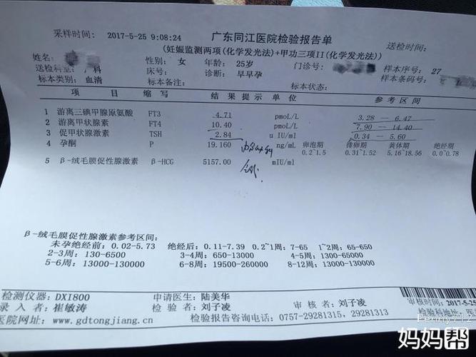 甲功三项tsh偏高